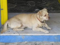 Platanias 2007 359